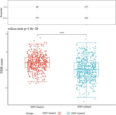 Transcriptomic and immunologic implications of the epithelial–mesenchymal transition model reveal a novel role of SFTA2 in prognosis of non-small-cell lung carcinoma